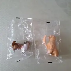 モザイヌ　犬 フィギュア 2体セット