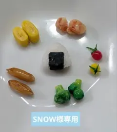 SNOW様専用