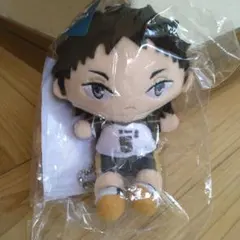 【お値下げ】フリューくじ 赤葦京治 ぬいもっちマスコット F賞