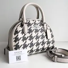 ✨希少 COACH コーチ 2WAY ハンドバッグ ショルダーバッグ サッチェル 