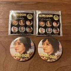 KINGDOM 映画　河了貂　橋本環奈　缶バッジ
