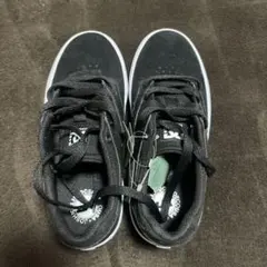 Item thumbnail for item f1b8cf4c-d0fa-4415-81a4-9ed6605619b6