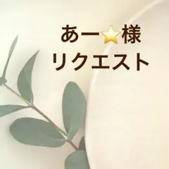 あー⭐️様リクエスト