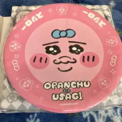 オパンチュウサギ プレート 皿　そのまま封筒に入れて発送