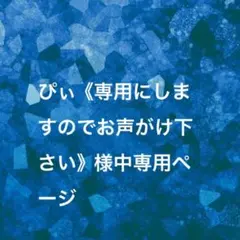 ぴいく専用にしますのでお声がけ下さい）様専用ページ