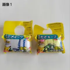 新品未開封品【非売品】伊藤園ノベルティ　ポケモン　理想のペットボトルカバー　２点