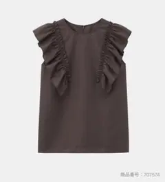 パラサウロロフス様 リクエスト 2点 まとめ商品