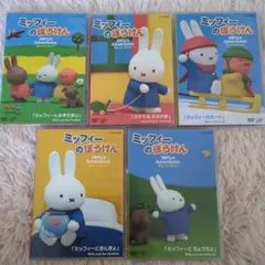 ☆希少☆ミッフィーのぼうけんシリーズ　DVD5枚セット　匿名配送 ミッフィーのぼうけん ミッフィーときんぎょ他 レンタル落ち