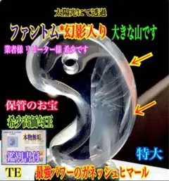 Item thumbnail for item 6ef057b0-e1bf-4d57-b2bf-fad5fad8394d