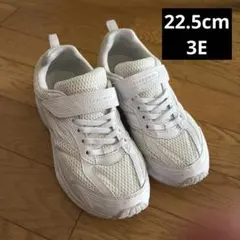 【中古】瞬足　スニーカー　22.5cm 3E