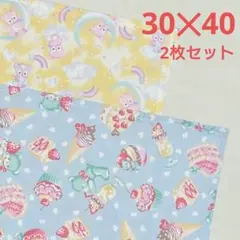 入園入学 ランチョンマット30×40 2枚 給食ナフキン 女の子107