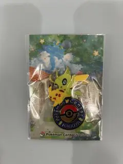 ポケモンセンター NAGOYA ピンズ 缶バッジ セット ポケセン 名古屋 2026年最新】ポケモンセンター ナゴヤ ピンズの人気アイテム - メルカリ