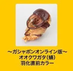 トンコツ丸様 リクエスト 2点 まとめ商品