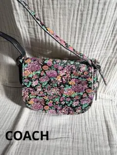 Item thumbnail for item f568606a-9f20-481d-bc50-b67a7402c6df