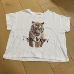 monmimi Tiger honey 虎プリント Tシャツ Mサイズのサムネイル