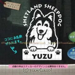 シェルティ シェットランドシープドッグ　名前入 カッティングステッカー 　シール