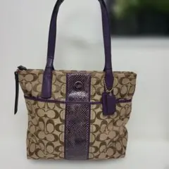 c*o様 コーチ COACH トートバッグ シグネチャー キャンバス パイソン柄