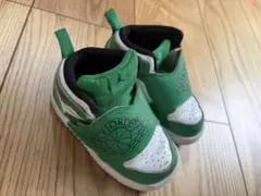 NIKE JORDAN SKY JORDAN 1 スニーカー