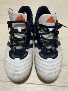 Item thumbnail for item da02d381-10c7-42e6-b651-a87a5558a8a7