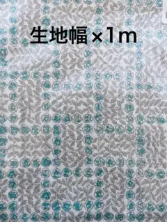 LIBERTY タナローン　スリーピングローズ c&s別注カラー