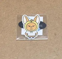 n 様専用 ファンチュン バムグッ