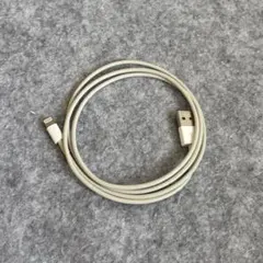 Lightningケーブル USB-A,C ライトニングケーブル 2本セット