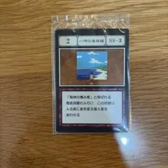 HUNTER×HUNTER 一番くじ 一坪の海岸線 G.I編 指定ポケットカード