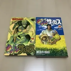 全巻初版】からくりサーカス 42.43巻 まとめセット 藤田和日郎 - メルカリ