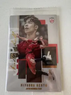 男子バレー　日本代表　ウエハース　宮浦健斗