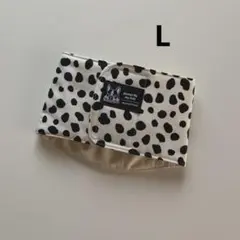 Item thumbnail for item b3c80fff-3028-45de-82ed-d5b71dc10ed3