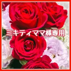 ミキティママ様専用
