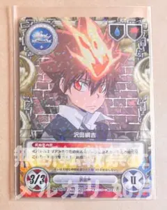 家庭教師ヒットマンREBORN! CCGカードゲーム 沢田綱吉 - メルカリ