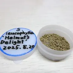 まさこ様 リクエスト 2点 まとめ商品