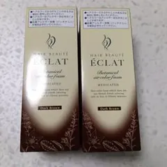 ヘアボーテエクラ　ボタニカル　ヘアカラーフォーム　EX ダークブラウンのサムネイル