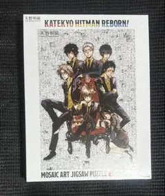 天野明展 家庭教師ヒットマンREBORN！ 原作柄モザイクアートパズル