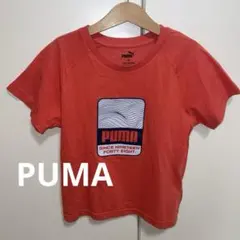PUMA キッズ Tシャツ 130cm
