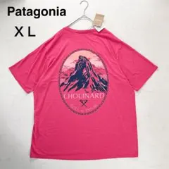 新品✨パタゴニア　メンズ・キャプリーン・クール・デイリー・グラフィック・シャツ