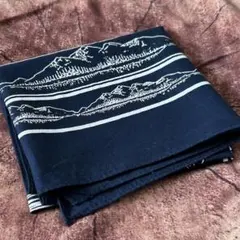 Item thumbnail for item 28e58012-4396-47b7-a557-166e3ad51200