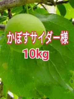 かぼすサイダー様　山梨県産　新鮮　青梅　白加賀梅　10kgのサムネイル