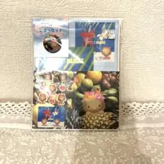 レア‼️日焼けキティ ハイビスカス トロピカルフルーツ レターセット バッジ付き