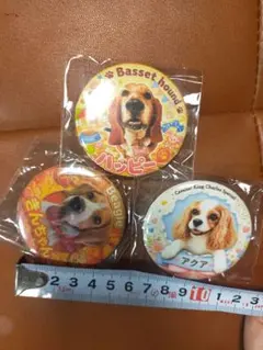 犬 缶バッジ 3点セット