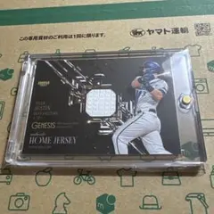 Item thumbnail for item 113bd282-01b8-4c7e-9e76-e2a222dd7876