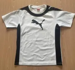 Item thumbnail for item 416e47e7-1a94-4692-9523-1bc1c9ef6a0b