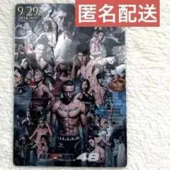 【匿名配送】RIZIN ポテトスティック ポスターカードコレクション　No.28