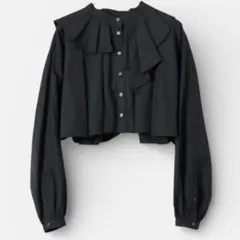 Audrey and John Wadプリーツアシンメトリーショートブラウス