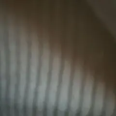 びーに