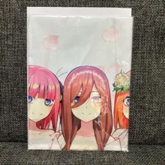 Jeynjeyn様 リクエスト 2点 まとめ商品
