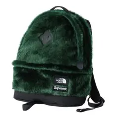 Supreme × The North Face