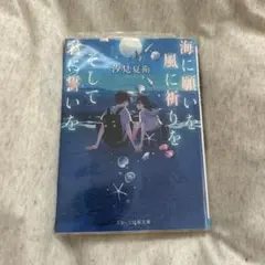 海に願いを風に祈りをそして君に誓いを 汐見夏衛