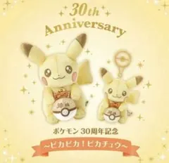 ポケモン 30th Anniversary ピカチュウ ぬいぐるみセット